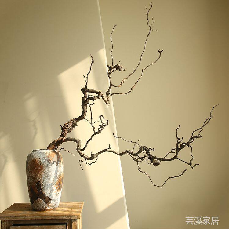 新款干枯龙枣树枝条天然干枝禅意枯枝插花装饰客创意枯木枝干摆件