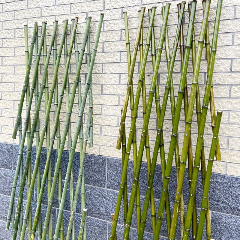 竹子栅栏竹篱笆花园围栏庭院装饰防腐花架护栏菜园伸缩月季爬藤架