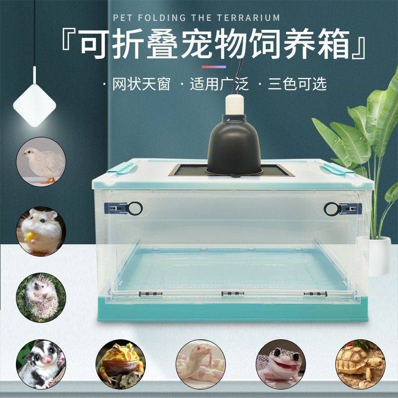 便携折叠饲养箱刺猬蜜袋鼯角蛙蛇蜘蛛寄居蟹大号透明箱笼子