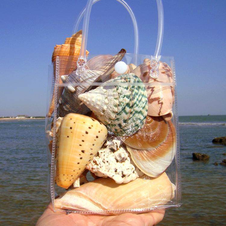 贝壳海螺海星摆件鱼缸水族箱地台橱窗造景儿童玩具手工小礼物天然