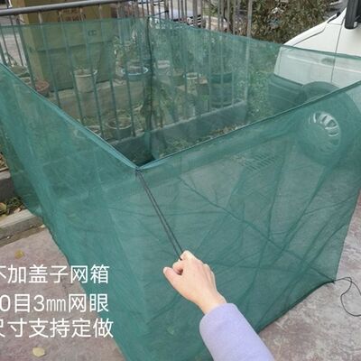 水产养殖网箱养鱼鱼苗泥鳅黄鳝青蛙水蛭小龙虾防逃钉做