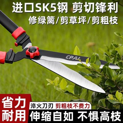 园艺修枝剪修绿化草坪绿篱剪大花剪园林剪枝工具修剪树枝专用剪刀