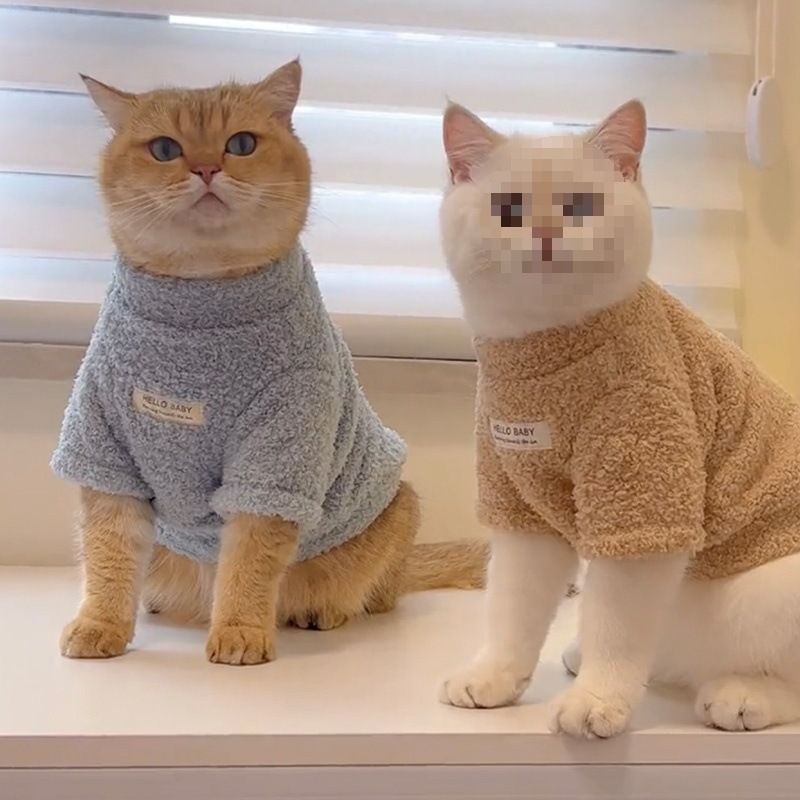 猫咪秋冬季衣服防掉毛可爱ins布偶猫金渐层加菲英短加绒保暖棉衣