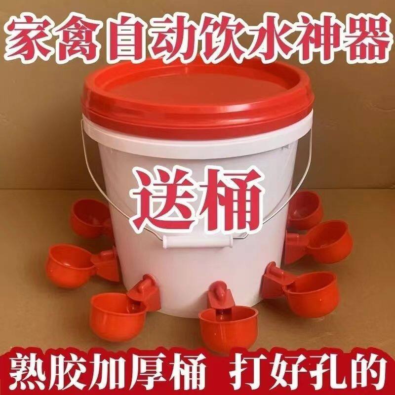 鸡鸭鹅家禽自动喂水器养殖水桶鸭鹅喂鸡自动饮水器鸽子饮水碗