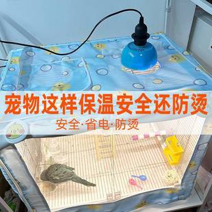 暖风保温灯养殖小鸡鹦鹉仓鼠爬宠蜜袋鼯宠物恒温箱加热取暖灯泡