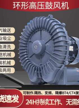 高压RB1010H隔热环形风机7500w蒸气输送隔热风机耐温防爆风机厂家