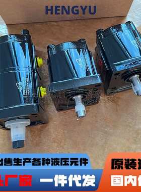 DANFOSS齿轮马达SEM2DN/011BNG1FAD2C7C7丹佛斯齿轮泵2PDM12H0Y4N