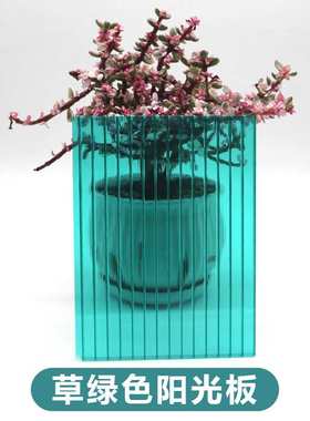 草绿色PC阳光板透明隔热中空心板蜂窝板双层5 6 8 mm彩色雨棚车棚