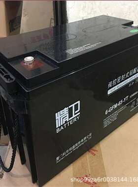 科华精卫蓄电池6-GFM-12V24 38 65 100 120 150 200AH-YT机房储能
