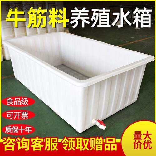 养殖牛筋水箱塑料加厚带排水大号养鱼龟储水带盖长方形泡瓷