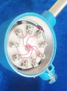 防爆多点热电阻 WZPK3-4304F  温度传感器 温度变送器隔爆热电阻