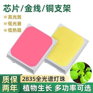 2835全光谱植物生长灯珠0.2W高光效高亮度颗粒白光led贴片灯珠