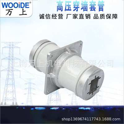 CM-10KV/90 100 160  CMW-20KV/180  270白色 陶瓷母线 穿墙套管