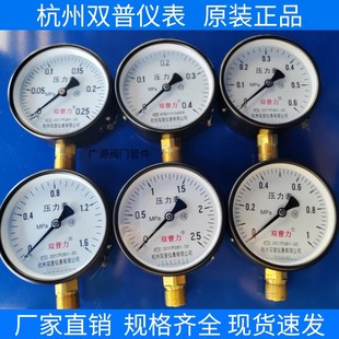 水压表高温蒸汽锅炉表空压机气表 1.6 杭州双普压力表Y100 0.025