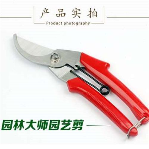 园艺修枝剪园林剪不锈钢剪刀盆景花枝剪粗枝大口径果枝剪