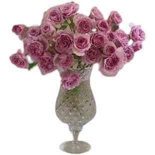 格纹蕾丝风灯玻璃花瓶百合多头玫瑰居家客厅.