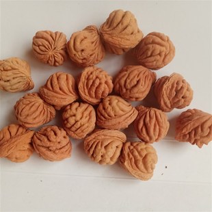 秦岭地球仪疙瘩龙纹桃核肚12-22mm佛珠手串雕刻磨光珠原籽散籽