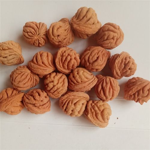 秦岭地球仪疙瘩龙纹桃核肚12-22mm佛珠手串雕刻磨光珠原籽散籽