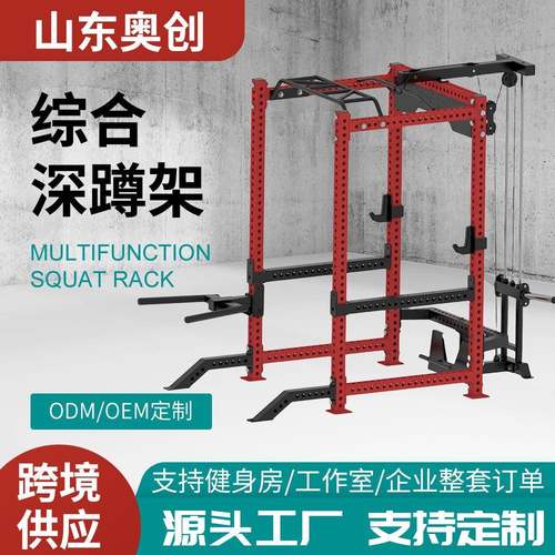 REP深蹲架小飞鸟龙门架双边配重80公斤75方管双边飞鸟健身器材