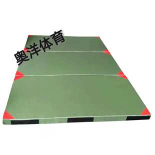 多功能折叠海绵垫仰卧起坐垫武术空翻训练垫子拼接垫减震加厚减震
