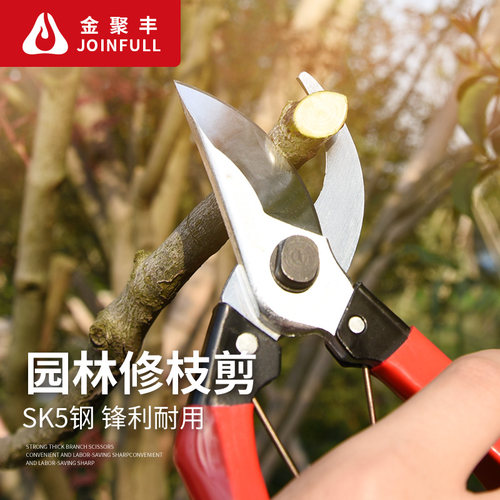 修剪树枝剪园林果园艺剪刀花剪家用剪果树植物盆景修枝修花剪工具