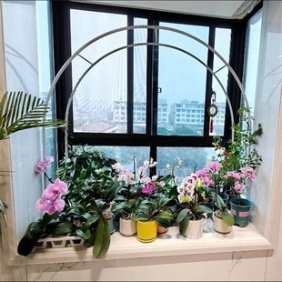 拱门花架葡萄架爬藤架花园月季 饰蔷薇 架绿萝植物架户外花门庭院装