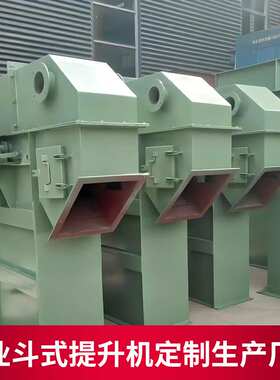 九正通明td粉料提升机 粮食板链斗式提升机 th200水泥链条提升机