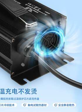 C1200清洁设备充电器 洗地机充电器扫地机铅酸60V15A充电器