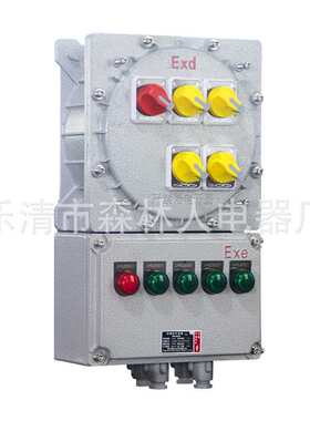 IIC防爆照明动力配电箱接线箱仪表电力检修断路器控制监控箱防护