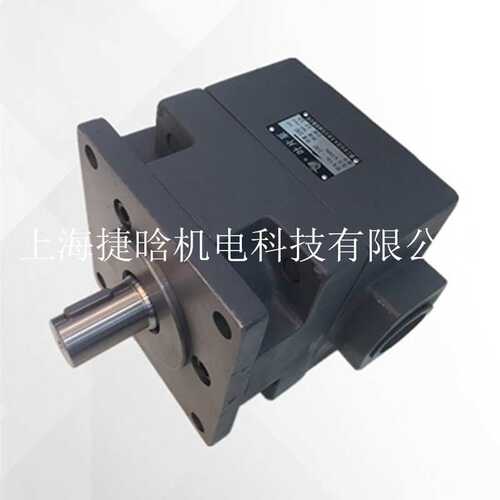 供应YB-D100/40 低噪音 中高压叶片泵 机床常用液压油泵