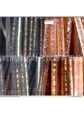 优惠AD4113ZT  Dino-lite手持式显微镜AD4113T数码显微镜AD4113TL