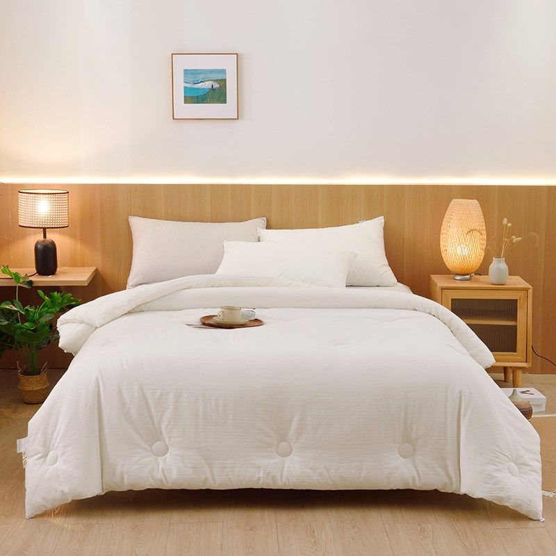 100%全棉A类提花被芯春秋季轻奢保暖被褥冬季单双人加厚纯棉被子,床上用品,棉花被,淘宝优惠券,粉丝福利购,淘宝优惠卷