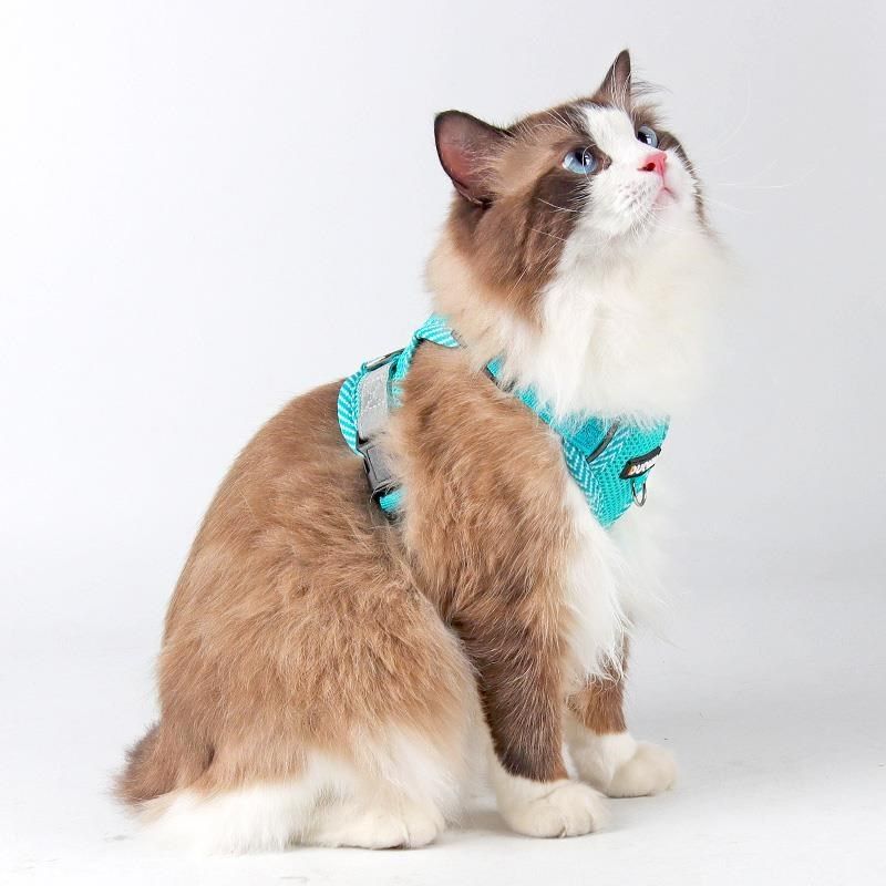 猫咪牵引绳防挣脱外出专用猫绳子宠物胸背带链子可调节布偶遛猫绳