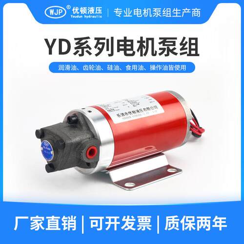 可携式直流12V电动抽油泵低噪音液压润滑泵三角摆U线泵 三角齿轮