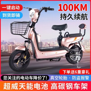 新款 电动车成人电动自行车48V锂电池小型电瓶车双人长跑王代步车