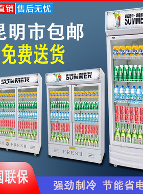 冷藏饮料展示柜商用保鲜柜立式单门双开门三门冰柜冰箱超市啤酒柜