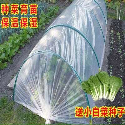 白色小拱棚专用膜农用弓棚膜大棚膜种植西瓜蔬菜育秧二棚加厚保温