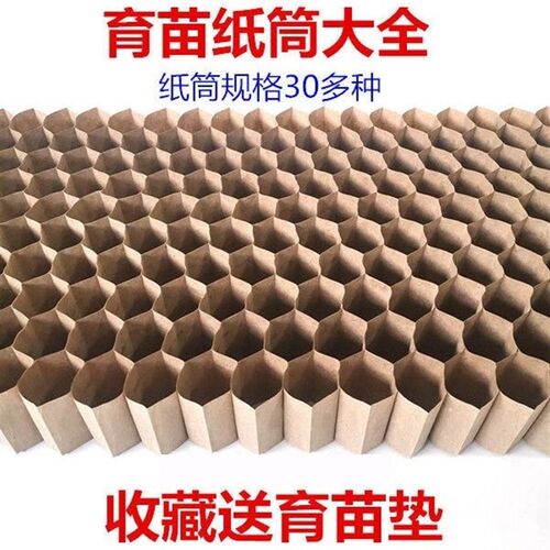 育苗纸筒蔬菜育苗l蜂窝纸杯西瓜纸筒链条纸筒育苗盘营养育苗杯
