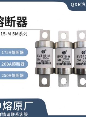 中A V301保险丝5M250熔断器电动汽车A新能源/熔75A-15系列E M/20