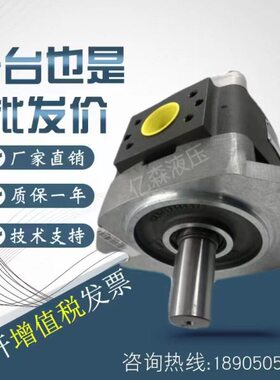 V6伊特福58H/ /64 IPV40-O/10 32--V7IPIT-105010VIP齿轮泵P5120