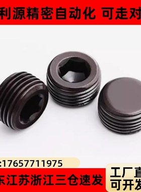 MSWT/MSWTK-J/S/1/2/3/4/5/6/8 沉头螺塞