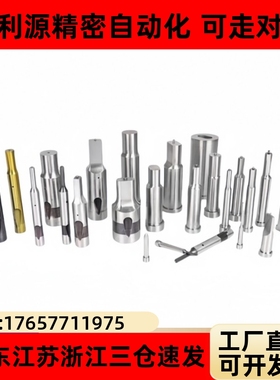 SPAL/APJAL/SJAL子母冲SKD/SKH异形顶料凸模厚板冲针冲头定制