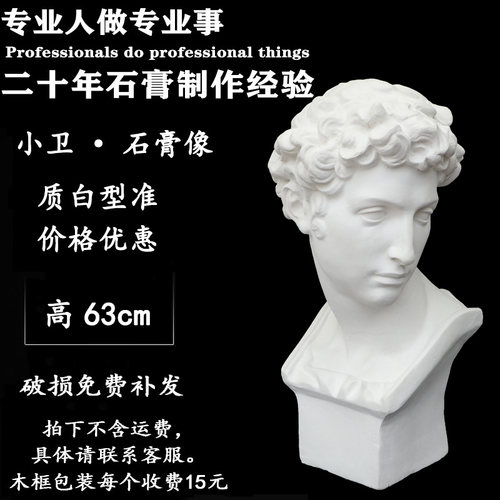 小卫石膏头像 朱利亚诺德梅第奇 美术石膏教具 人物石膏头像H63CM