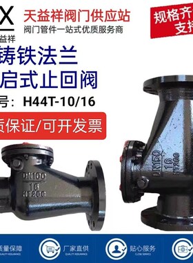 H44T-16旋启式止回阀铸铁铜芯法兰止回阀逆止阀DN50/50/65/80/100