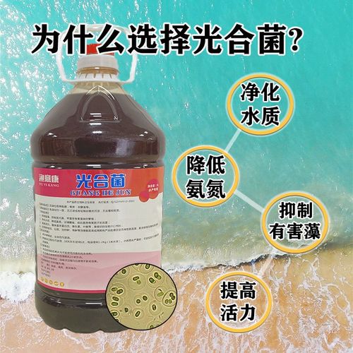 光合菌种水产养殖控制蓝藻净化水质扩培鱼虾蟹塘降低氨氮亚硝酸盐