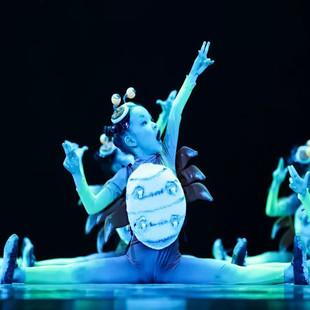 新款小荷风采儿童坚持不懈舞蹈演出服卡通小动物造型螃蟹表演服装