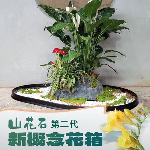 阳台绿植室内造景展厅花艺布置花箱定制园林景观设计二代花箱210
