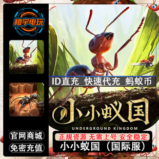 小小蚁国 The Ants 国际服 官方ID充值 代充 无需上号 蚂蚁金币