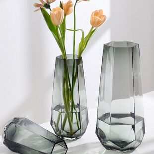 玻璃花瓶水养器北欧简约玫瑰插花百合花家用透明网红客厅摆件创意