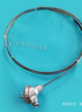 KWR铑 KK热电偶铂13装热电偶铠铂铑13   6-铠R 8-0RR型装WR13B-WR